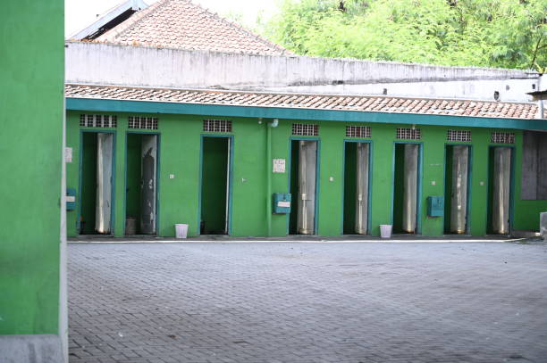 Best Affordable portable toilet rental  in Mancelona, MI